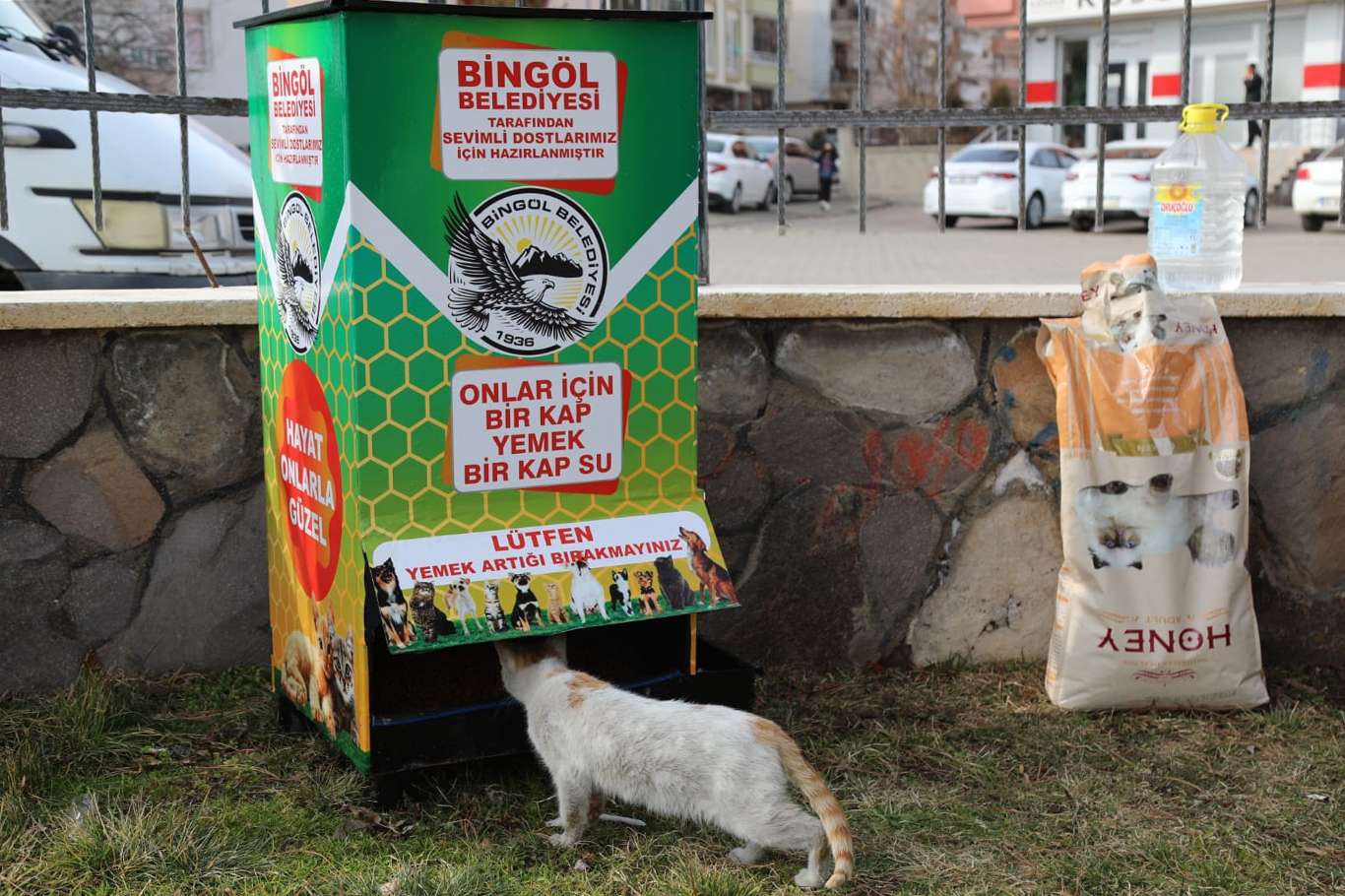 Bingöl'de sokak hayvanlarına mamamatik hizmeti Bingöl'de sokak hayvanlarına mamamatik hizmeti